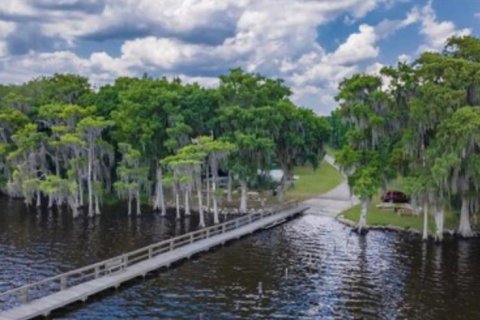 Land in Georgetown, Florida № 2159687 - photo 6