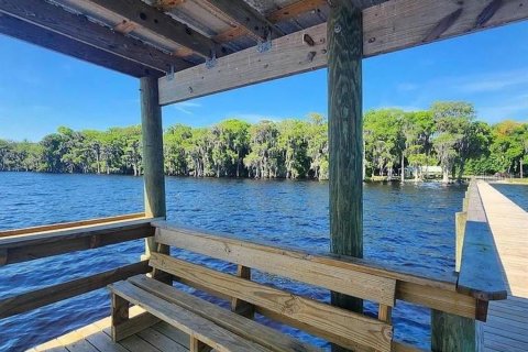 Land in Georgetown, Florida № 2159687 - photo 11