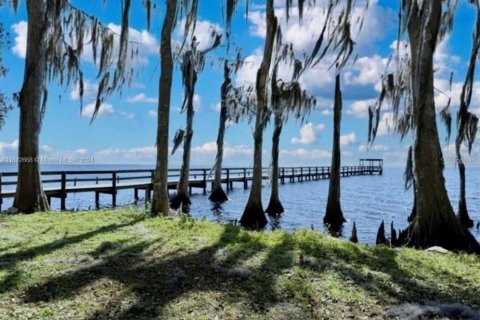 Land in Georgetown, Florida № 2159687 - photo 9