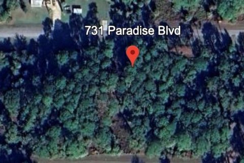 Land in Georgetown, Florida № 2159687 - photo 5