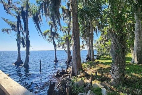 Land in Georgetown, Florida № 2159687 - photo 8
