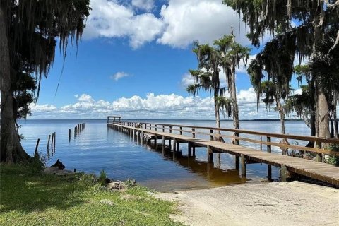Land in Georgetown, Florida № 2159687 - photo 7