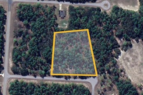 Terreno en venta en Ocala, Florida № 1544248 - foto 4