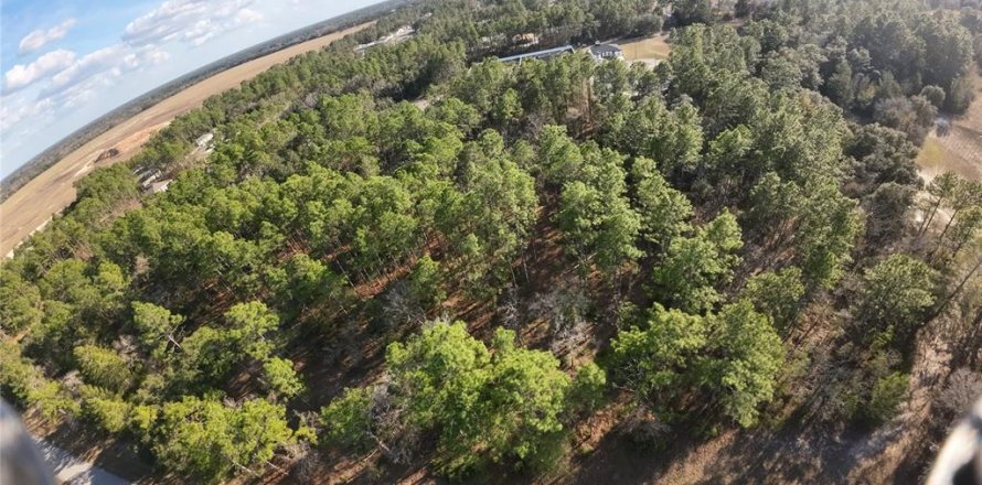 Terreno en Ocala, Florida № 1544248