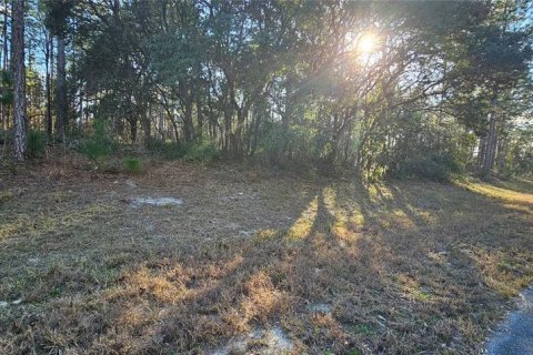 Terreno en venta en Ocala, Florida № 1544248 - foto 3