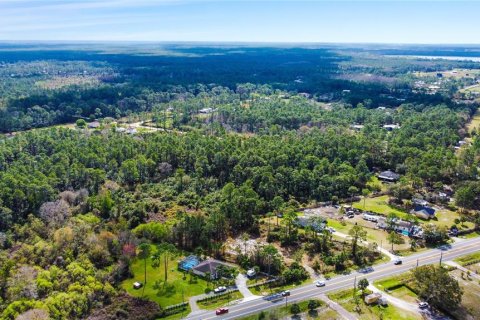 Terreno en venta en New Smyrna Beach, Florida № 1760431 - foto 13