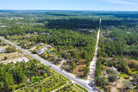 Terreno en venta en New Smyrna Beach, Florida № 1760431 - foto 19