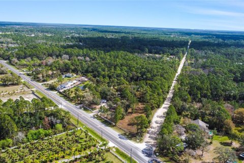 Terreno en venta en New Smyrna Beach, Florida № 1760431 - foto 21