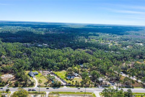 Terreno en venta en New Smyrna Beach, Florida № 1760431 - foto 17