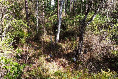 Terreno en venta en New Smyrna Beach, Florida № 1760431 - foto 2