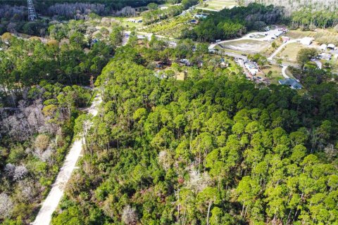 Terreno en venta en New Smyrna Beach, Florida № 1760431 - foto 7