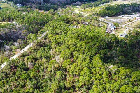 Terreno en venta en New Smyrna Beach, Florida № 1760431 - foto 8