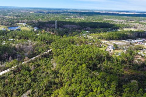 Terreno en venta en New Smyrna Beach, Florida № 1760431 - foto 9