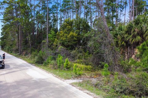 Terreno en venta en New Smyrna Beach, Florida № 1760431 - foto 6