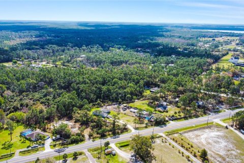 Terreno en venta en New Smyrna Beach, Florida № 1760431 - foto 14