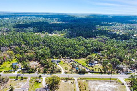 Terreno en venta en New Smyrna Beach, Florida № 1760431 - foto 15