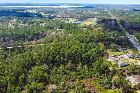 Terreno en venta en New Smyrna Beach, Florida № 1760431 - foto 10