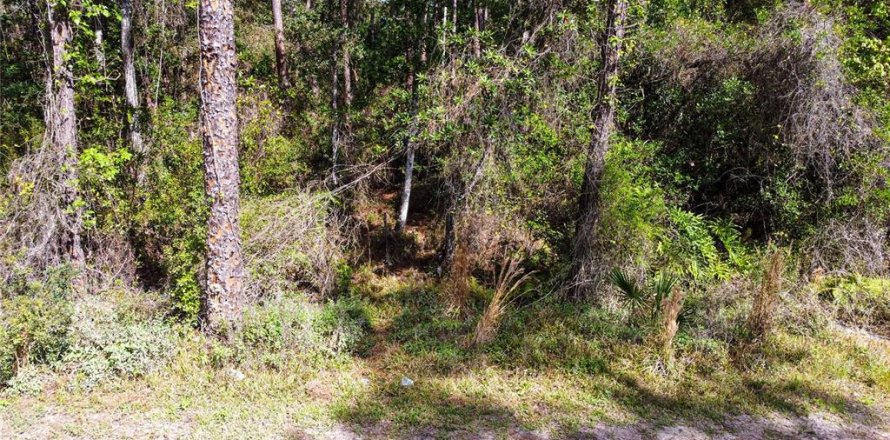 Terreno en New Smyrna Beach, Florida № 1760431