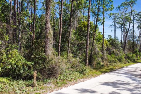 Terreno en venta en New Smyrna Beach, Florida № 1760431 - foto 3