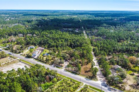 Terreno en venta en New Smyrna Beach, Florida № 1760431 - foto 18