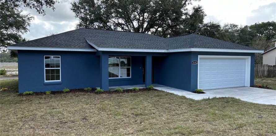 Villa ou maison à Ocklawaha, Floride 3 chambres, 117.89 m2 № 1916619