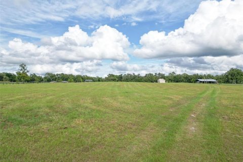 Land in Webster, Florida № 1744145 - photo 21