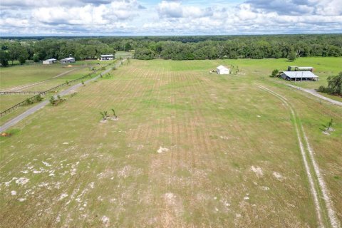 Land in Webster, Florida № 1744145 - photo 25