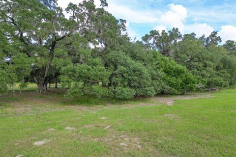 Land in Webster, Florida № 1744145 - photo 14