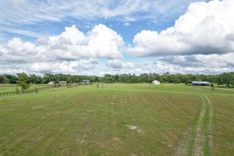Land in Webster, Florida № 1744145 - photo 19