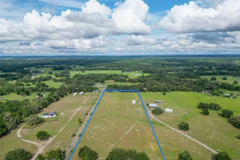 Land in Webster, Florida № 1744145 - photo 30