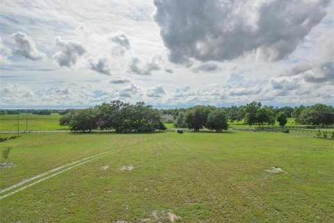 Land in Webster, Florida № 1744145 - photo 10