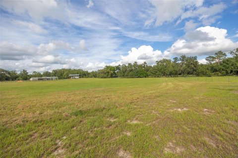 Land in Webster, Florida № 1744145 - photo 2