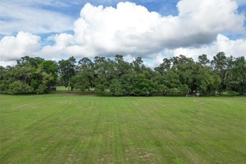 Land in Webster, Florida № 1744145 - photo 15
