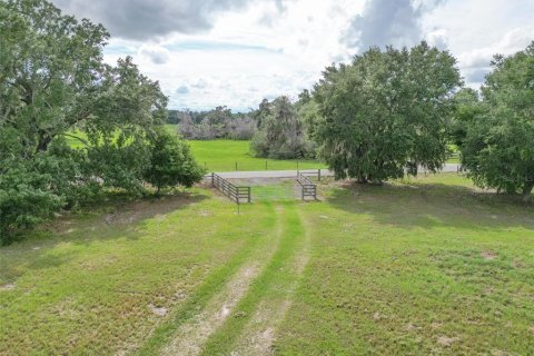 Land in Webster, Florida № 1744145 - photo 3