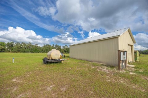 Land in Webster, Florida № 1744145 - photo 5
