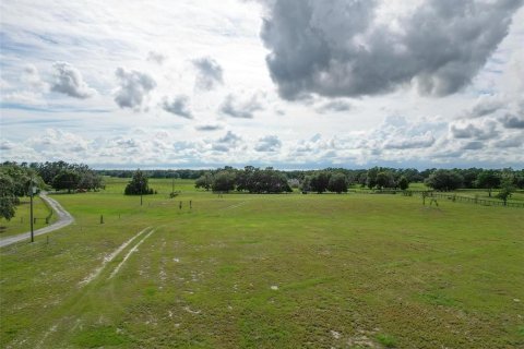 Land in Webster, Florida № 1744145 - photo 11