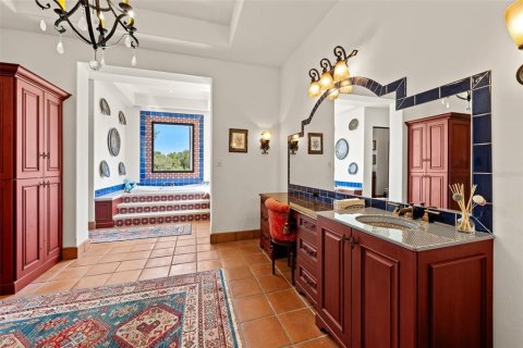 House in Thonotosassa, Florida 6 bedrooms, 2352.38 sq.m. № 1656723 - photo 21
