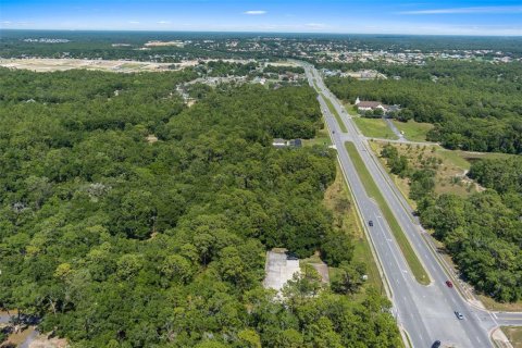Terreno en venta en Lecanto, Florida № 1685438 - foto 18