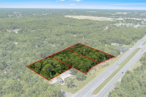 Terreno en venta en Lecanto, Florida № 1685438 - foto 5