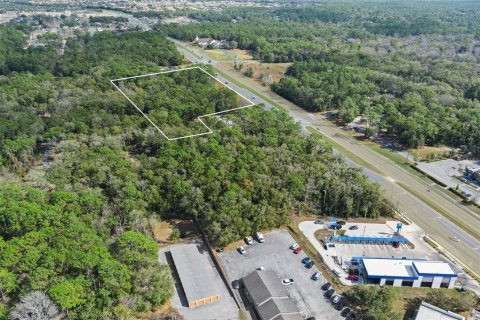 Terreno en venta en Lecanto, Florida № 1685438 - foto 1