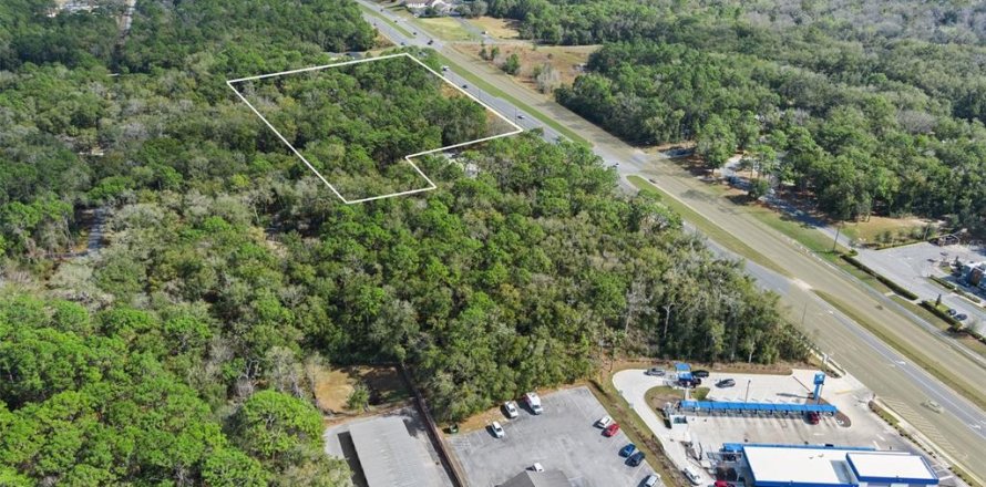 Terreno en Lecanto, Florida № 1685438
