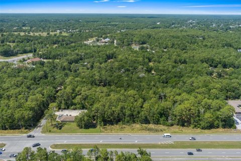 Terreno en venta en Lecanto, Florida № 1685438 - foto 8