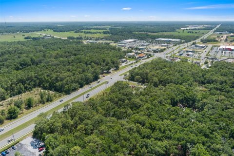 Terreno en venta en Lecanto, Florida № 1685438 - foto 13