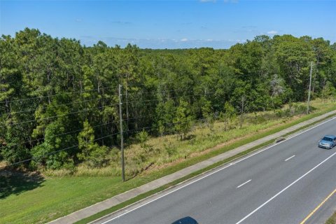 Terreno en venta en Lecanto, Florida № 1685438 - foto 25