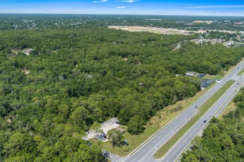Terreno en venta en Lecanto, Florida № 1685438 - foto 17