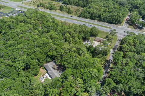 Terreno en venta en Lecanto, Florida № 1685438 - foto 10
