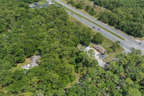 Terreno en venta en Lecanto, Florida № 1685438 - foto 9