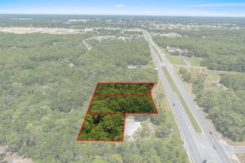 Terreno en venta en Lecanto, Florida № 1685438 - foto 6