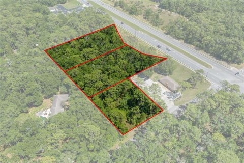 Terreno en venta en Lecanto, Florida № 1685438 - foto 2