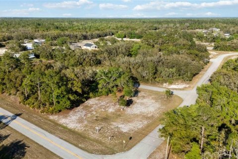 Land in Kissimmee, Florida № 1591073 - photo 11